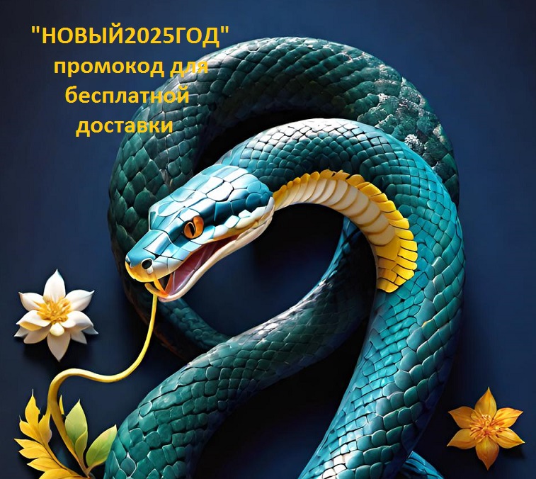Акция - доставка гуслей на новый год в подарок, промокод